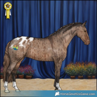 Horse Color:Liver Red Dun Varnish Brindle 