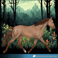 Horse Color:Red Dun 