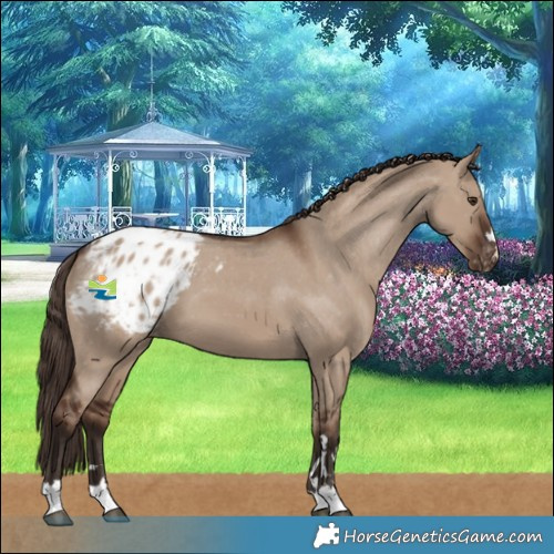 Horse Color:Liver Red Dun Blanket 