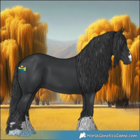 Horse Color:Black 