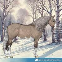 Horse Color:Silver Brown Dun 