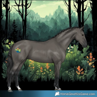Horse Color:Grullo 