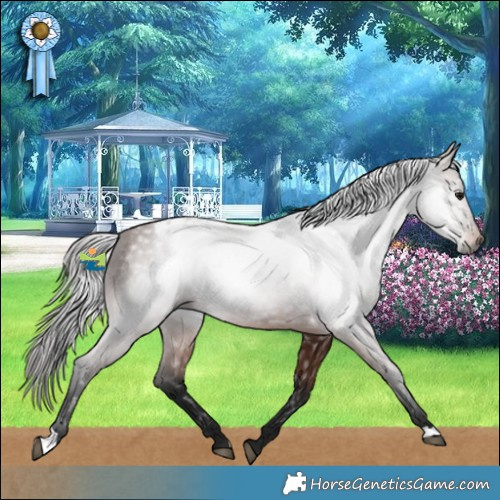 Horse Color:Gray Bay Blanket 