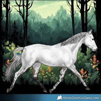 Horse Color:Gray Bay Near Leopard 