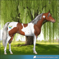 Horse Color:Silver Brown Tobiano