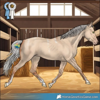 Horse Color:Powder White Silver Amber Champagne Dun 