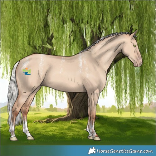 Horse Color:Powder White Silver Amber Champagne Dun 