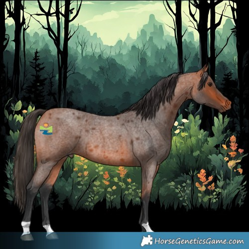 Horse Color:Bay Roan Rabicano 