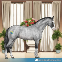 Horse Color:Brown Roan Splash 