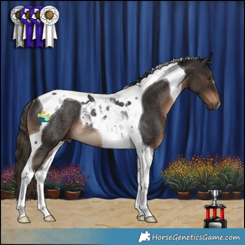 Horse Color:Liver Chestnut Tobiano Rabicano 