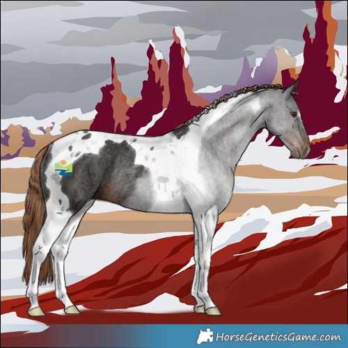 Horse Color:Liver Chestnut Tobiano Rabicano 