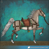 Horse Color:Silver Brown Dun