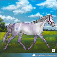 Horse Color:Gray Watercolor Liver Red Dun Tobiano Blanket 