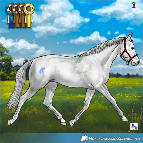 Horse Color:Gray Watercolor Silver Blue Onyx Splash Tobiano Varnish 