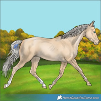 Horse Color:Silver Smoky Black Pearl 