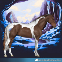 Horse Color:Liver Chestnut Tobiano 