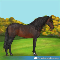 Horse Color:Brown 