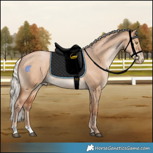 Horse Color:Silver Bay Pearl Dun 