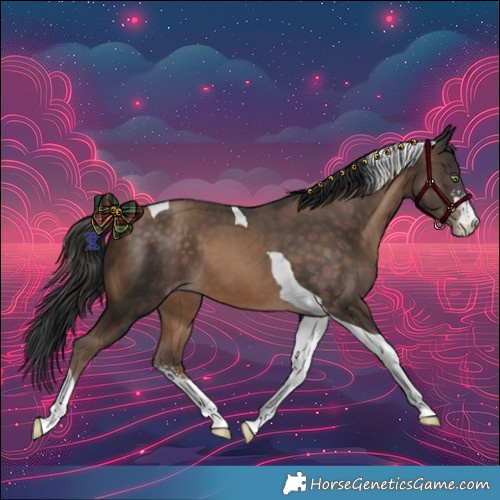 Horse Color:Amber Champagne Sabino Tobiano 