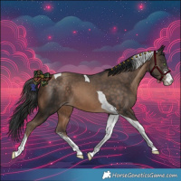 Horse Color:Amber Champagne Sabino Tobiano 