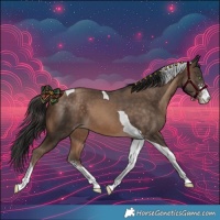 Horse Color:Amber Champagne Sabino Tobiano