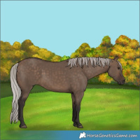 Horse Color:Silver Brown Dun 