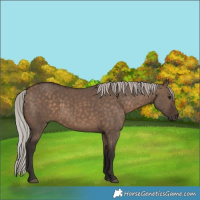Horse Color:Silver Brown Dun