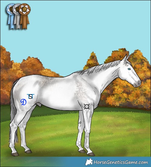 Horse Color:Gray White Spotted Grullo Ice Onyx Splash Tobiano Rabicano