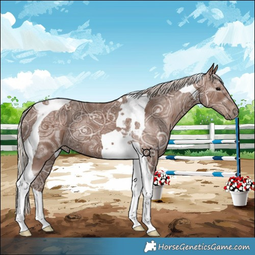 Horse Color:Silver Black Ice Tobiano