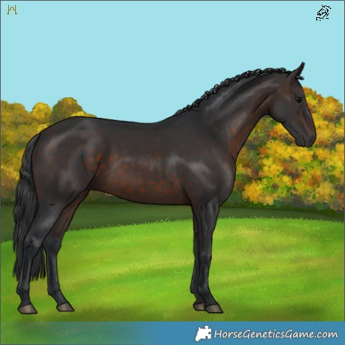 Horse Color:Brown 