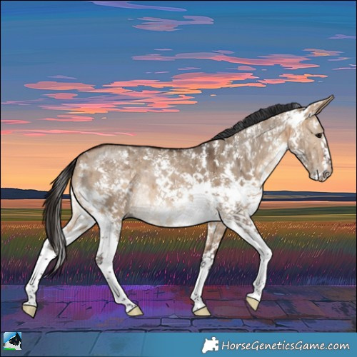 Horse Color:Bay Dun Sabino Splash Rabicano Brindle 