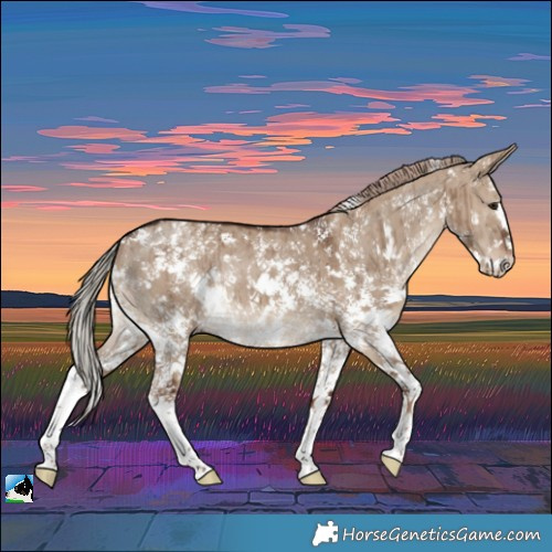 Horse Color:Liver Red Dun Sabino Splash Rabicano Brindle 