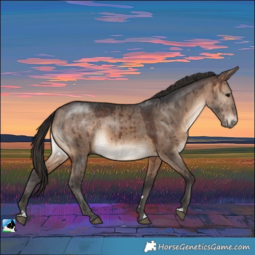 Horse Color:Brown Dun Rabicano Brindle 