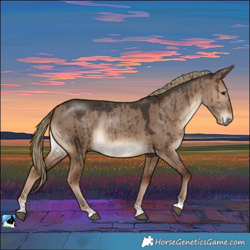 Horse Color:Liver Red Dun Rabicano Brindle 