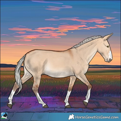 Horse Color:Silver Bay Dun Rabicano 