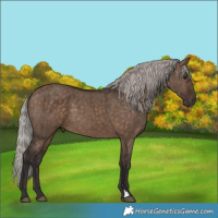 Horse Color:Silver Brown Dun Brindle 
