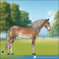 Horse Color:Chocolate Palomino Mushroom Sabino 