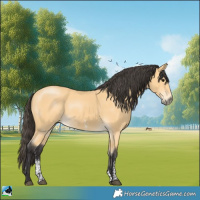 Horse Color:Buckskin Sabino