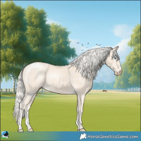 Horse Color:Cremello Mushroom Sabino 