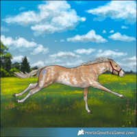 Horse Color:Palomino Mushroom Sabino