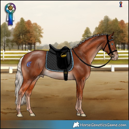 Horse Color:Cremello Mushroom 