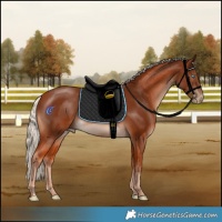 Horse Color:Cremello Mushroom 