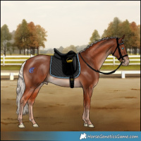 Horse Color:Cremello Mushroom 