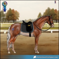 Horse Color:Cremello Mushroom 