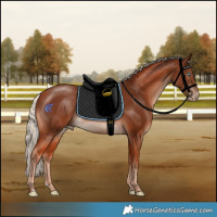 Horse Color:Cremello Mushroom