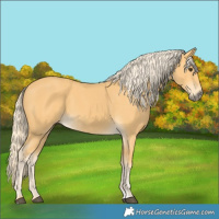 Horse Color:Palomino 