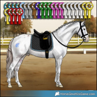 Horse Color:White Spotted Chestnut Appaloosa 