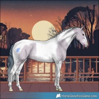 Horse Color:Watercolor Liver Red Dun Tobiano Rabicano 