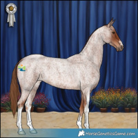 Horse Color:Red Roan Sabino 