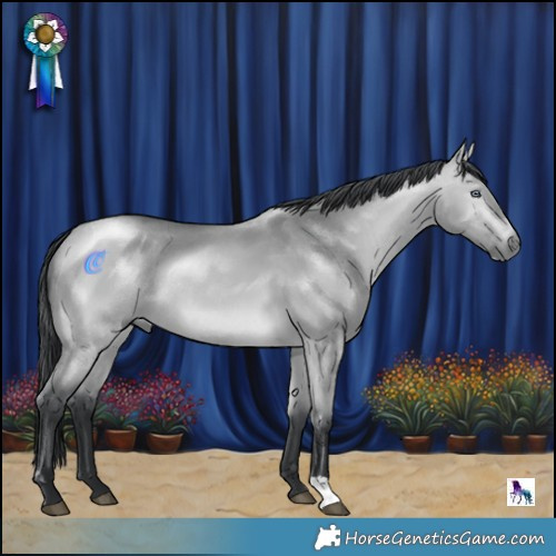 Horse Color:Bay Chinchilla Dun Rabicano 